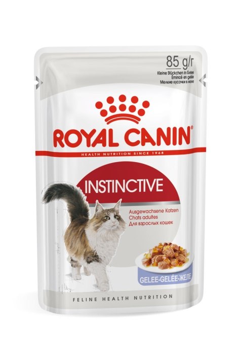 Royal Canin FHN Instinctive w galaretce - mokra karma dla kota dorosłego - 12x85g