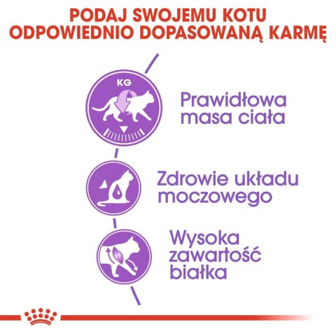 Royal Canin FHN Sterilised - sucha karma dla kota dorosłego - 10kg