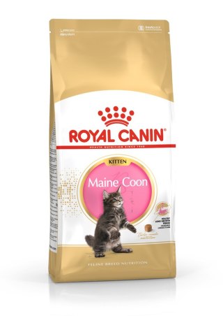 Karma Royal Canin FBN Kitten Maine Coon (4 kg )