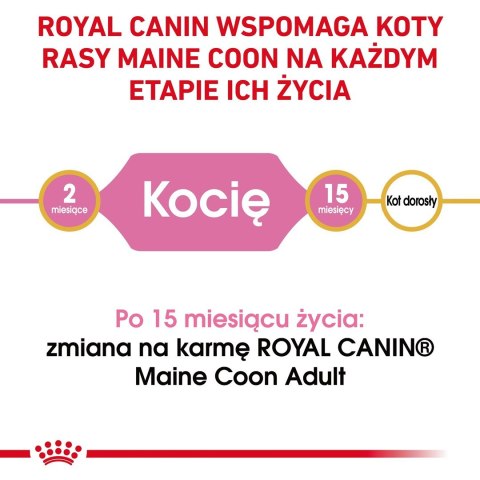 Karma Royal Canin FBN Kitten Maine Coon (4 kg )