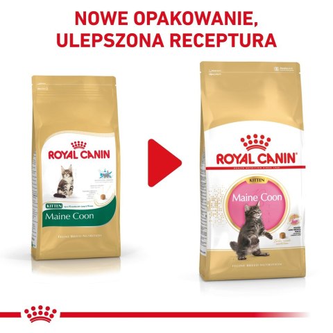 Karma Royal Canin FBN Kitten Maine Coon (4 kg )