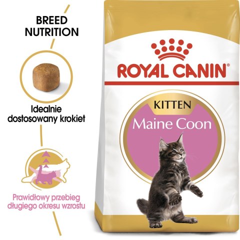 Karma Royal Canin FBN Kitten Maine Coon (4 kg )