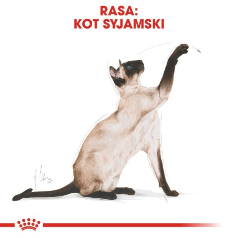 Karma Royal Canin FBN Siamese (2 kg )