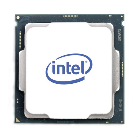 Procesor INTEL XEON E-2324G (3.1 GHz /8 MB /Socket LGA1200 )