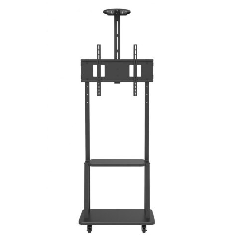 Uchwyt do TV TECHLY ICA-TR33 (nośność 60kg 32 - 70 cali)