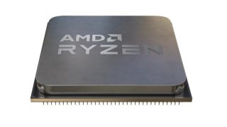 Procesor AMD Ryzen 5 5500 Tray (3.6 GHz /16 MB /Socket AM4 )