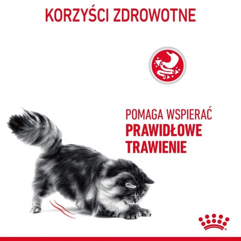 Karma Royal Canin FCN Digestive Care (4 kg )