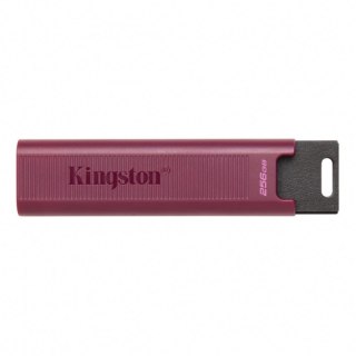 Pendrive (Pamięć USB) KINGSTON (1 TB /Fioletowy )