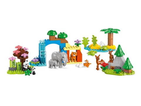 LEGO DUPLO TOWN 10446