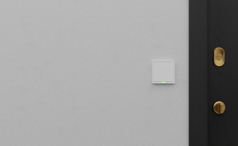 Włącznik pojedynczy TESLA TSL-SWI-WIFI1 Smart Switch