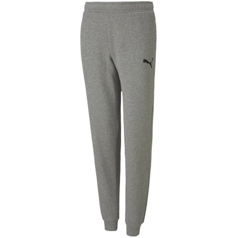 Spodnie dla dzieci Puma teamGOAL 23 Casuals Pants Jr szare 656713 33 140