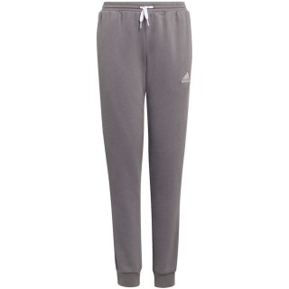 Spodnie dla dzieci adidas Entrada 22 Sweat Pants szare H57519 140cm