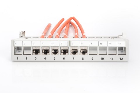 Panel krosowy modularny desktop 12x keystone, ekranowany, szary, prowadnica kabli, pola opisowe