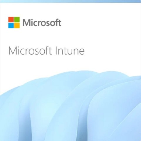 Intune Plan 1 Storage Add-On MICROSOFT CFQ7TTC0LCH4:0006 CSP