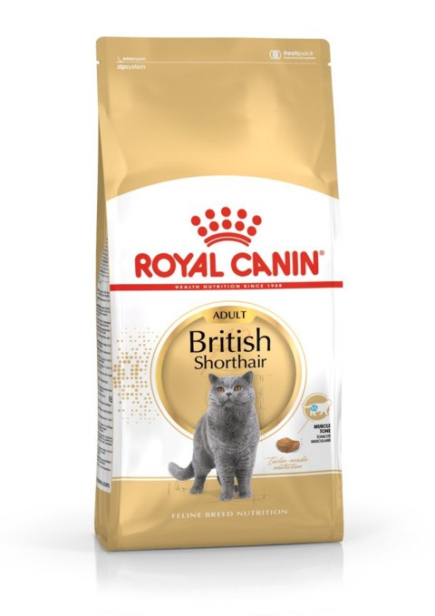 Karma Royal Canin FBN British Shorthair (4 kg )