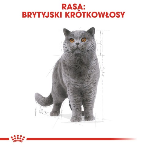 Karma Royal Canin FBN British Shorthair (4 kg )