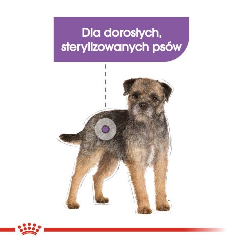 ROYAL CANIN Mini Sterilised - sucha karma dla psów dorosłych, ras małych, po sterylizacji - 1kg