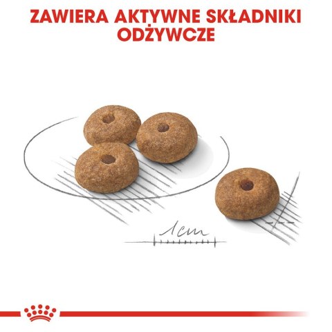 ROYAL CANIN Mini Sterilised - sucha karma dla psów dorosłych, ras małych, po sterylizacji - 1kg