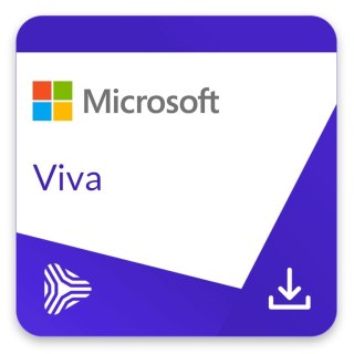 Viva Insights Capacity