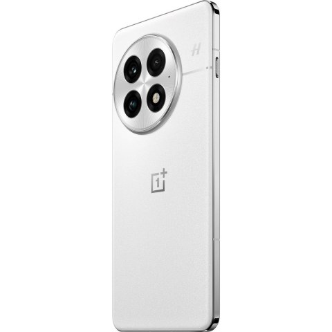 Smartfon OnePlus 13 5G 16/512GB DS Arctic Dawn