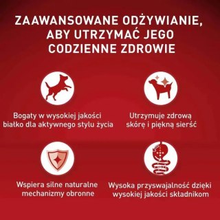 Purina ONE MINI Dog Active GiG wołowina, ziem. 85g