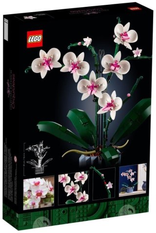 LEGO ICONS 10311 ORCHIDEA