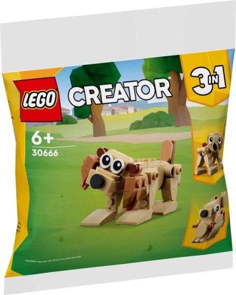 LEGO 30666 Creator 3w1 - Prezentowe zwierzęta