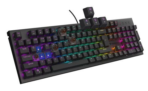 GENESIS Thor 303 klawiatura Gaming USB QWERTY US English Brzoza