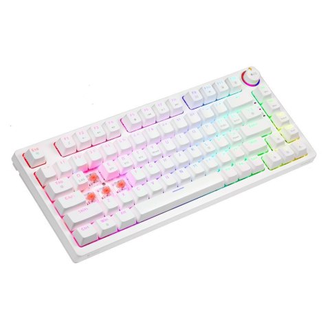 Klawiatura mechaniczna bezprzewodowa SAVIO PHENIX WHITE Gateron Red Pro, ABS