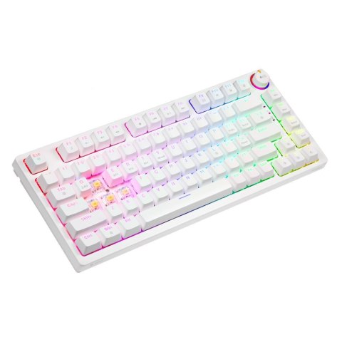 Klawiatura mechaniczna bezprzewodowa SAVIO PHENIX WHITE Gateron Yellow, ABS