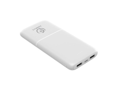 Powerbank Rebeltec P10 (10 000mAh 10W)