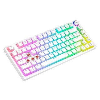 Klawiatura bezprzewodowa SAVIO PHENIX WHITE Gateron Red Pro, Pudding, mechaniczna