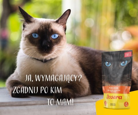 Josera Karma Filet kurczak dla kota 70g Josera Karma Filet kurczak dla kota 70g