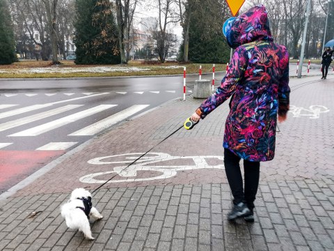 Smycz automatyczna taśma 3m dla psa do 8kg żółta