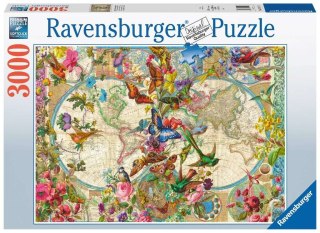 Ravensburger 17117 puzzle Puzzle układanka 3000 szt.