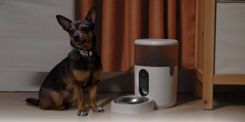 Aqara PETC1-M01 Smart Pet Feeder C1 - inteligentny podajnik karmy dla psa lub kota, automatyczne karmidło, białe