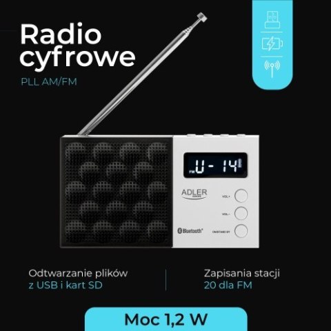 Radio cyfrowe PLL AM/FM