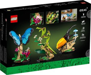 LEGO Ideas 21342 Kolekcja owadów