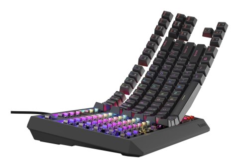 GENESIS Thor 230 TKL klawiatura Gaming USB QWERTY US English Czarny