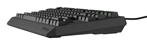 GENESIS Thor 230 TKL klawiatura Gaming USB QWERTY US English Czarny