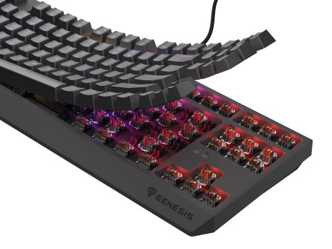 GENESIS Thor 230 TKL klawiatura Gaming USB QWERTY US English Czarny