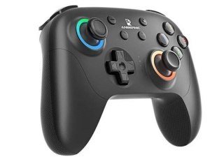 Gamepad ANBERNIC P01 Black