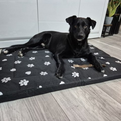 LEGOWISKO 100X70CM DLA PSA PURLOV 24862