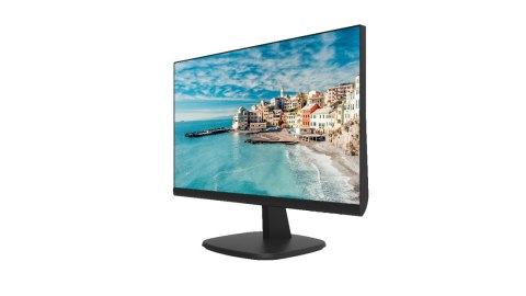 Monitor Hikvision DS-D5024FN/EU Monitor Hikvision DS-D5024FN/EU