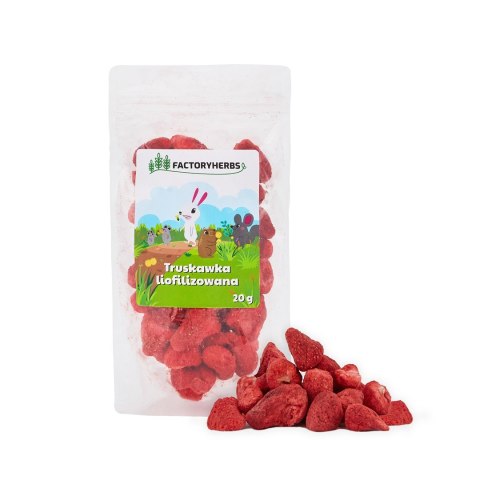 FACTORYHERBS Truskawka liofilizowana 20g FACTORYHERBS Truskawka liofilizowana 20g