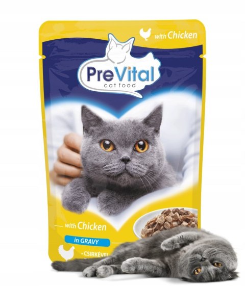 PREVITAL kurczak w sosie dla kotów 100g PREVITAL kurczak w sosie dla kotów 100g