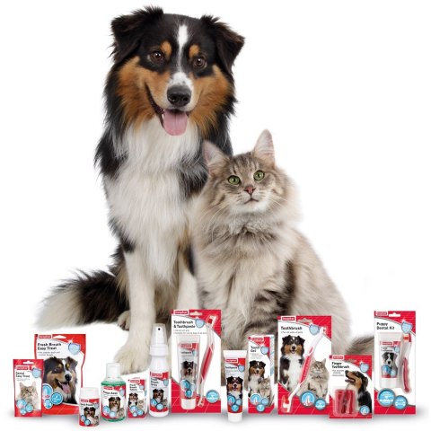 Beaphar Dental powder 75g brunatnice, jama ustna Beaphar Dental powder 75g brunatnice, jama ustna