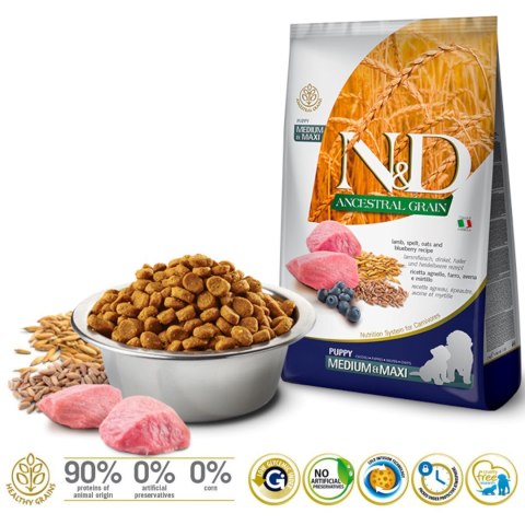 Farmina N&D Ancestral Grain sucha karma dla psów ras średnich i dużych z jagnięciną 12kg Farmina N&D Ancestral Grain sucha karma dla psów ras średnich i dużych z jagnięciną 12kg