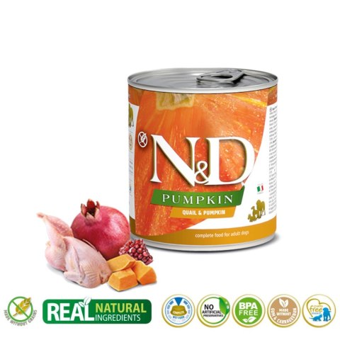 FARMINA N&D DOG QUAIL & PUMPKIN - mokra karma dla psa - puszka 285g FARMINA N&D DOG QUAIL & PUMPKIN - mokra karma dla psa - puszka 285g