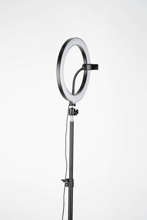 Tripod Havit ST7012 Pro z pierścieniem świetlnym Tripod Havit ST7012 Pro z pierścieniem świetlnym